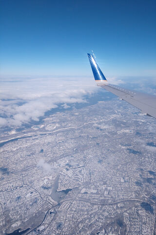 Skyward Serenity: A Bird's Eye View