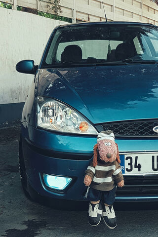 Araba Adventures: A Plush Companion on the Road! 🚗🐶