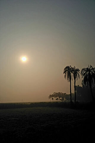 Sunrise Serenity: A New Dawn