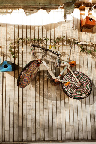 Whimsical Wheels: A Bicycle of Art 🎨🚲