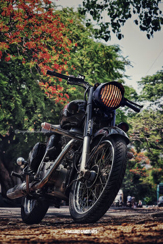 Cruising Through Nature: The Classic Ride 🌳🏍️