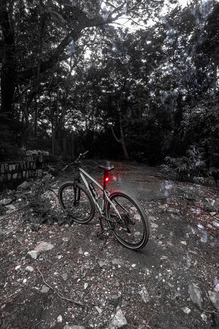 Adventure Awaits: The Lonely Bike