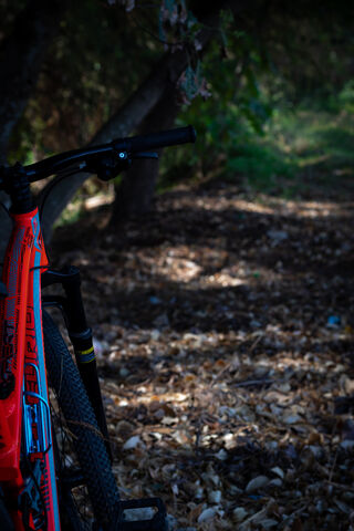 Adventure Awaits: The Perfect Ride 🚴 🌲