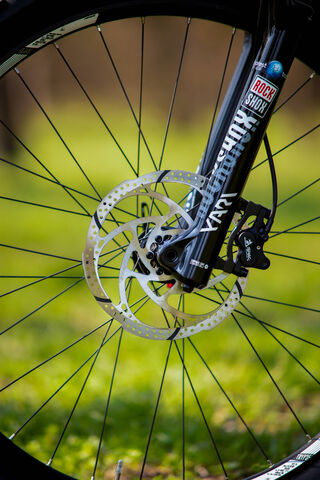 Ride the Trails: The Heart of Adventure 🚴 ️🌲