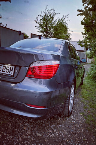 Sleek Elegance: The BMW E60 in Nature 🌳🚗