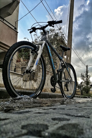 Adventure Awaits: The Journey of a Bike 🚴 🌍