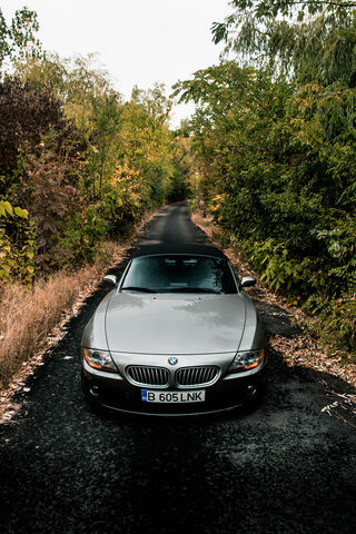 The Elegant Escape: BMW Z4 Cabrio TL on a Scenic Path 🌳🚗