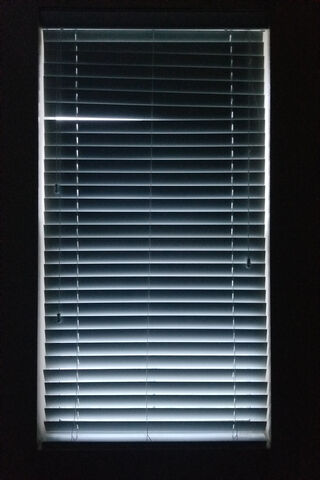 Shades of Serenity: A Window to Calm
