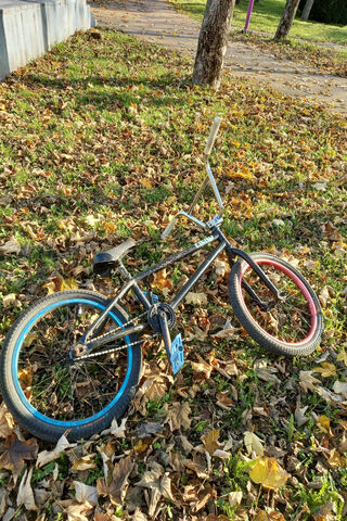 BMX Adventure Awaits! 🚴 🍂