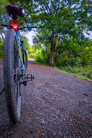 Pedal Power: Embracing Nature on Two Wheels 🚴 ️🌳