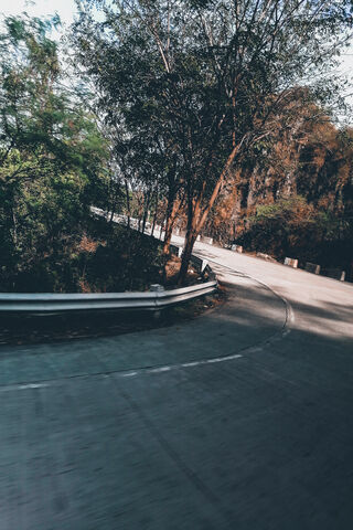 Winding Journey: Embracing the Curve 🌳🛣️