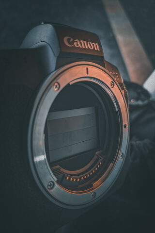 Capturing Moments: The Heart of Photography 📸✨