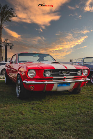 Timeless Beauty: The Classic Mustang