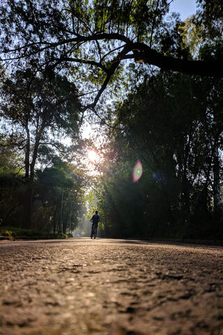 Pedal Power: Embracing Nature's Path 🚴 🌳