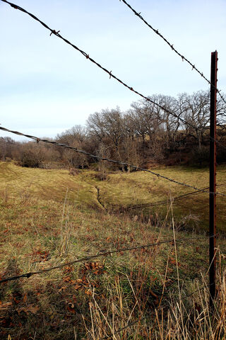 Whispers of the Past: A Country Landscape