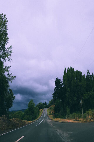 Journey Through the Carretera 🌳🚗