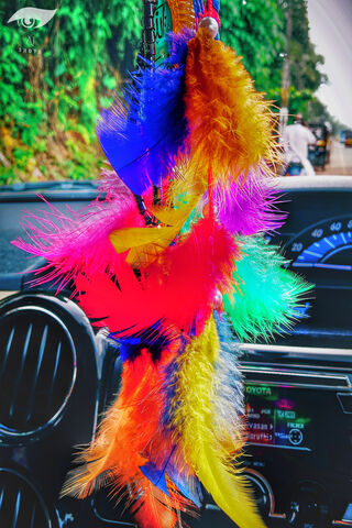 Colorful Dreams: A Catcher of Good Vibes 🌈✨