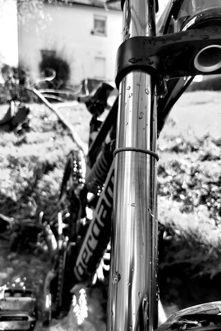 Chasing the Thrill: A Downhill Adventure 🚵 ️💨