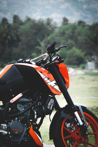 Duke 200: The Urban Bea..