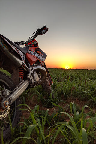 Sunset Thrills: The Dirt Bike Adventure 🌅🏍️