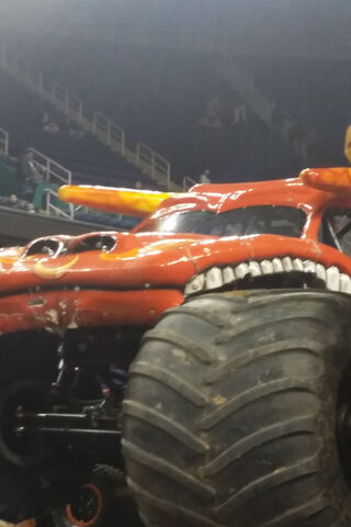 El Toro Loco: The Beast of the Arena! 🐂🔥