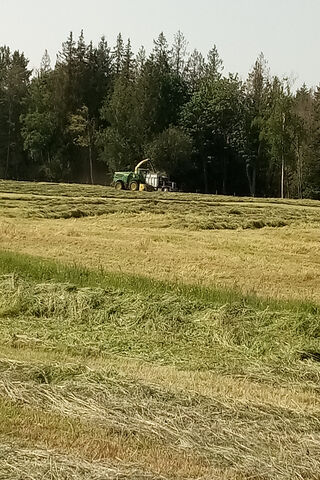 Harvesting Nature's Bounty: The Forage Harvester in Action 🌾🚜