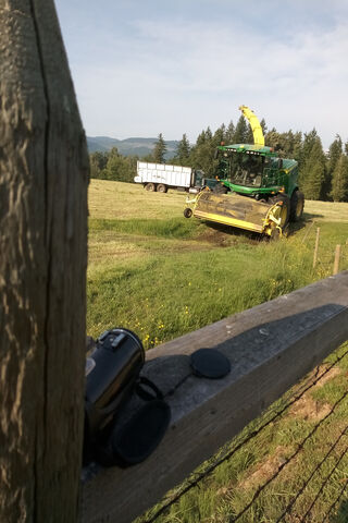 Harvesting Nature's Bounty: The Forage Harvester in Action 🌾🚜