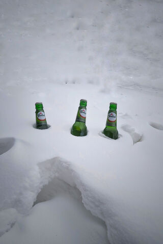 Grolsch