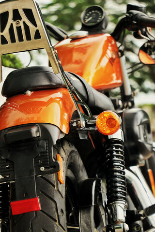 Revving Up the Spirit of Freedom: Harley Davidson