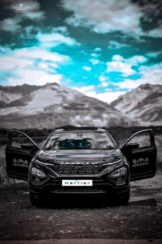 Harrier: The Bold Adventurer 🚙🏞️