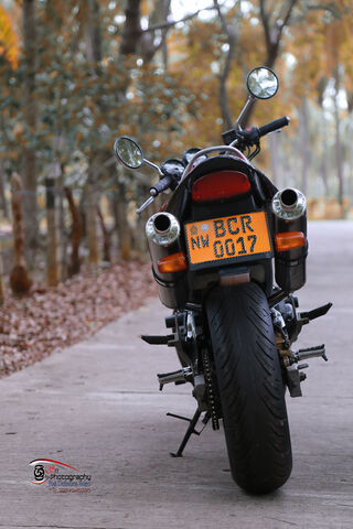 Buzzing Through the Streets: The Honda Hornet 🏍️✨