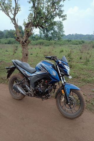 Buzzing Adventure: The Hornet Awaits! 🐝🏍️