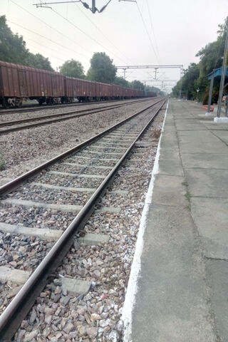 Tracks to Adventure 🚂✨