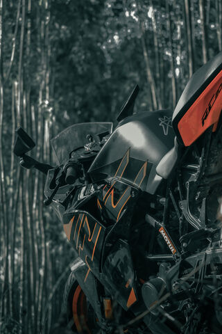 KTM Adventure Awaits! 🏍️🌲