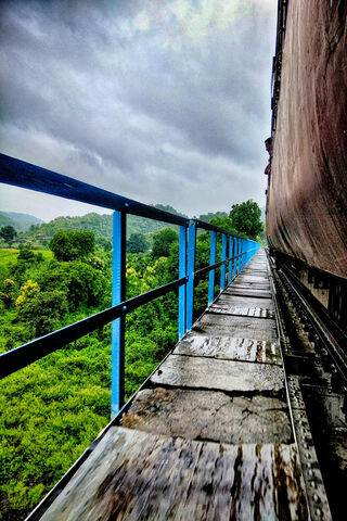 Journey Through the Lush Greenery of Kalakund