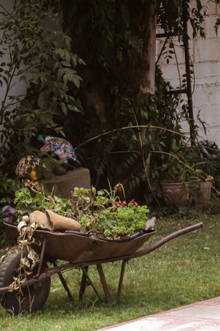 La Carreta De La Natur