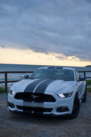 Roaring into the Sunset..