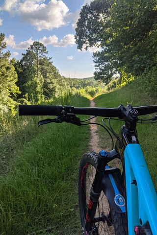 Adventure Awaits on the Mountain Bike Trail 🚵 🌲
