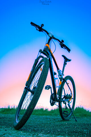 Adventure Awaits: The Mountain Bike Experience 🚵 🌄