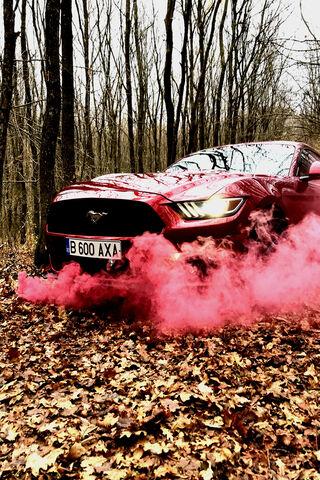 Unleashing the Mustang:..