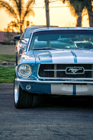 Classic Mustang: A Time..