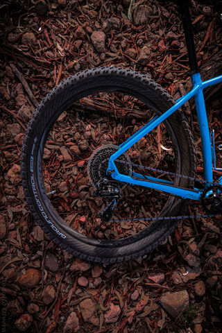 Mountain Trails Await 🚵 🌲