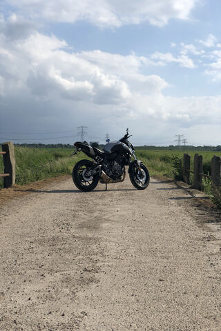 Freedom on Two Wheels: The Open Road Awaits! 🏍️🌾