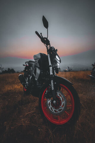 Twilight Ride: The Yamaha MT-15 Adventure