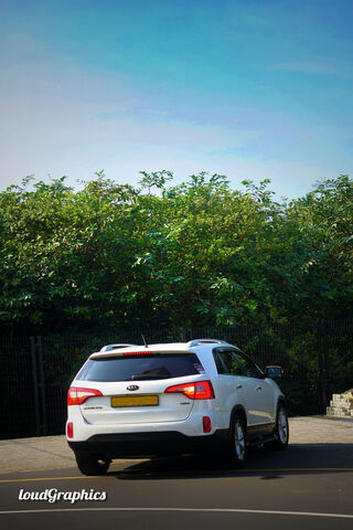 Serene Escape: The Natural Sorento
