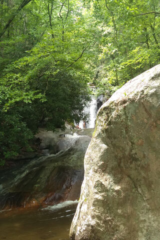 Nature's Serenity: A Hidden Gem