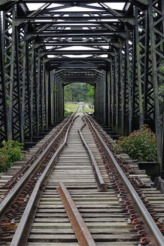 Journey Through the Iron Arches: Ponte Ferroviária