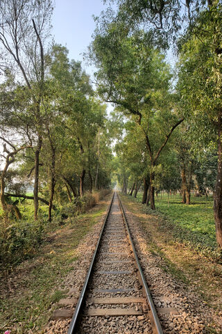Journey Through Nature: The Railway Path