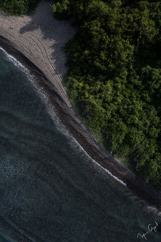 Whispers of the Shore 🌊🌿