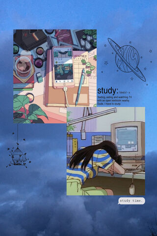 Focus & Chill: The Perfect Study Vibe 📚✨